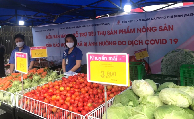 Tại quầy giải cứu nông sản Hải Dương của siêu thị Co.opmart Hà Nội đang bán su hào và cà chua giá 4.900 đ/kg, bắp cải trắng giá 3.900 đ/kg, cà rốt 16.900 đ/kg. Ảnh: Thùy Linh.