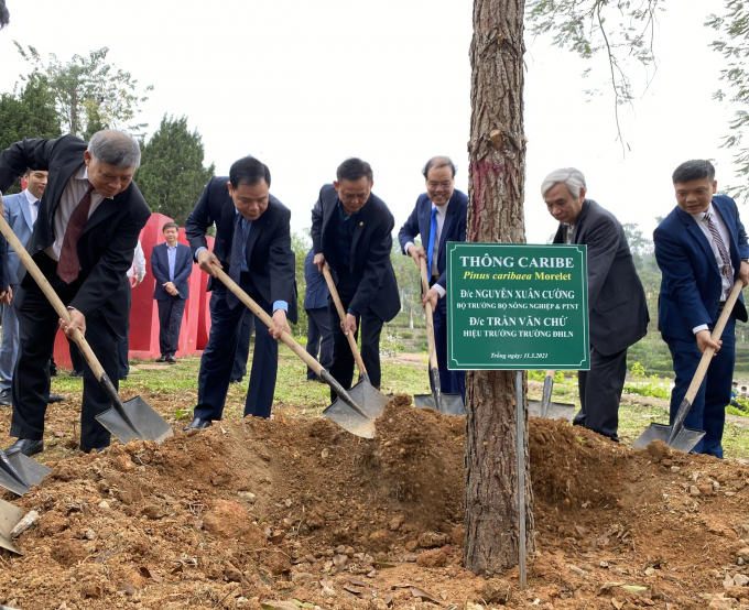 Bộ trưởng Bộ NN-PTNT Nguyễn Xuân Cường lưu ý, các đơn vị lựa chon cây xanh trồng phân tán phù hợp, vừa mang ý nghĩa xanh vừa mang lại hiệu quả về mặt kinh tế. Ảnh: Nguyên Huân.