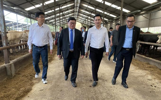 Chủ tịch Hội Nông dân Việt Nam Thào Xuân Sùng cùng lãnh đạo Cục Trồng trọt (Bộ NN-PTNT) thăm hệ thống sản xuất tuần hoàn khép kín của phân bón hữu cơ Ba Con Bò. Ảnh: Nguyên Huân.
