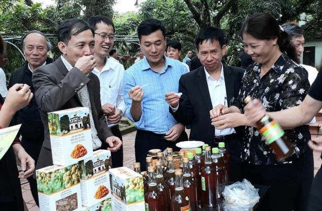 Các đại biểu tham quan mô hình du lịch nông nghiệp nhãn - ong - cá tại Hàm Tử, Khoái Châu, Hưng Yên. Ảnh: Hưng Giang.