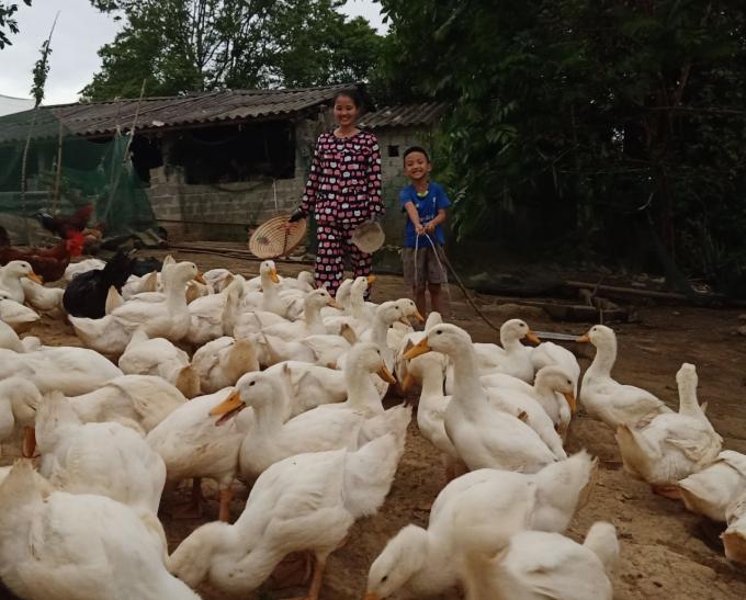 Từ chương trình tài trợ sinh kế, bà con nông dân giờ đã tự tin làm chủ quy trình công nghệ chăn nuôi gia cầm, thủy cầm. Ảnh: Võ Dũng.