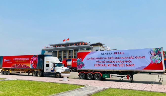Container chờ vận chuyển vải thiều Lục Ngạn, Bắc Giang đi tiêu thụ tại hệ thống các siêu thị sáng 8/6. Ảnh: CR.