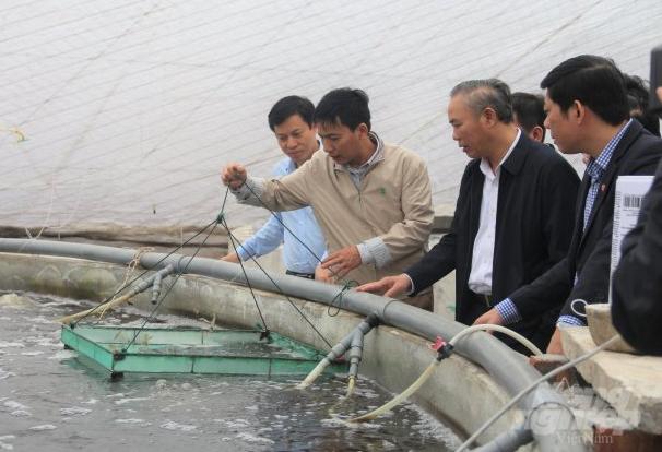 Thứ trưởng Bộ NN-PTNT Phùng Đức Tiến thăm và kiểm tra mô hình nuôi tôm tại Thái Bình. Ảnh: Phạm Hiếu.