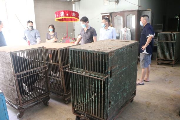 Four bears at Hanoi Central Circus are being handed over to the Vietnam Bear Sanctuary. Photo: AAF.