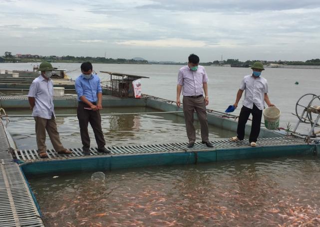 Lĩnh vực thủy sản của Bắc Ninh tiếp tục giữ được ổn định và tăng trưởng. Ảnh: BN.
