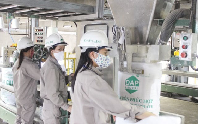 Các nhà máy sản xuất phân bón DAP và MAP có nguy cơ phải dừng máy nếu không được cung cấp kịp thời amoniac.