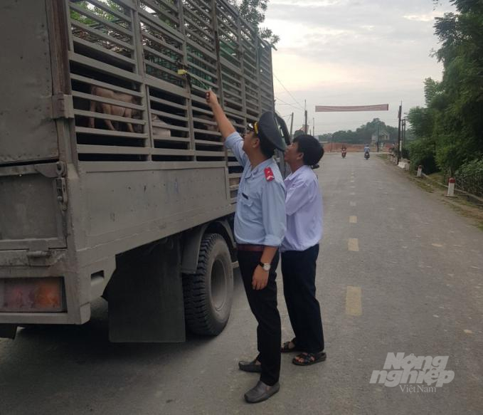 Lực lượng kiểm dịch động vật của Nghệ An đã và đang tăng cường kiểm tra, kiểm soát việc vận chuyển động vật qua địa bàn nhằm siết chặt nguy cơ lây lan dịch bệnh trên địa bàn. Ảnh: V. Lương