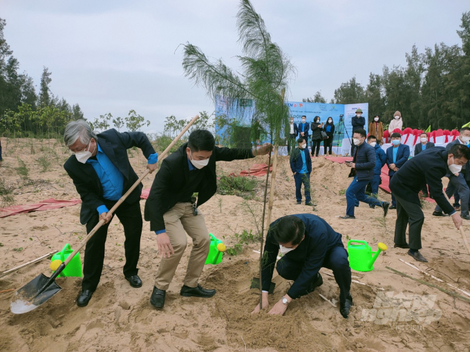 Phó Chủ tịch UBND tỉnh Nghệ An ông Hoàng Nghĩa Hiếu trực tiếp vun đất vào hốc cây vừa được trồng với mong muốn cây trồng sẽ sống mãnh liệt, góp phần chắn sóng tạo không gian xanh nơi biển Quỳnh. Ảnh: VH