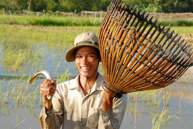 The decline of freshwater fishes badly affect farmers' lives. Photo: Hoang Vu.