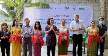 An Giang Province’s Department of Agriculture and Rural Development and Green Innovation and Development Centre (GreenID) inaugurated a pilot model combining solar power generation and agriculture production in Tri Tôn District. Photo: Le Hoang Vu.