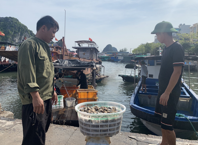 Quang Ninh Province has been focusing on improving aquaculture processing capacity to increase the value of the products and minimise market risks during the COVID-19 pandemic. Photo: Anh Thang.