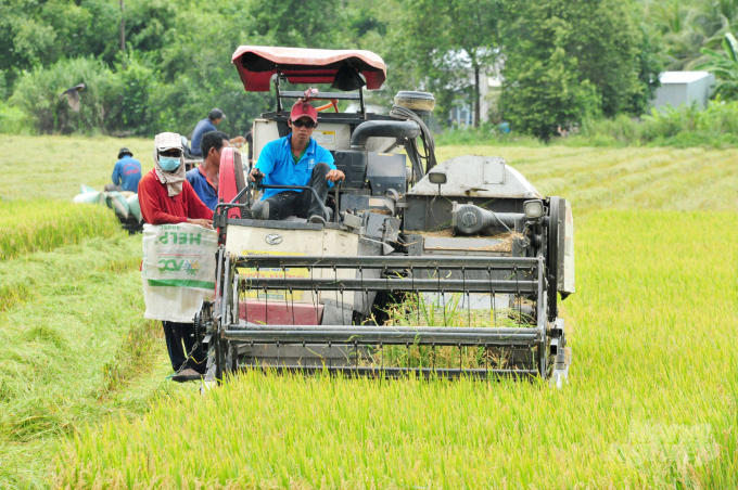 The activities of the CCAFS in Southeast Asia helps promote smart agricultural solutions in Vietnam's agriculture. Photo: Le Hoang Vu.