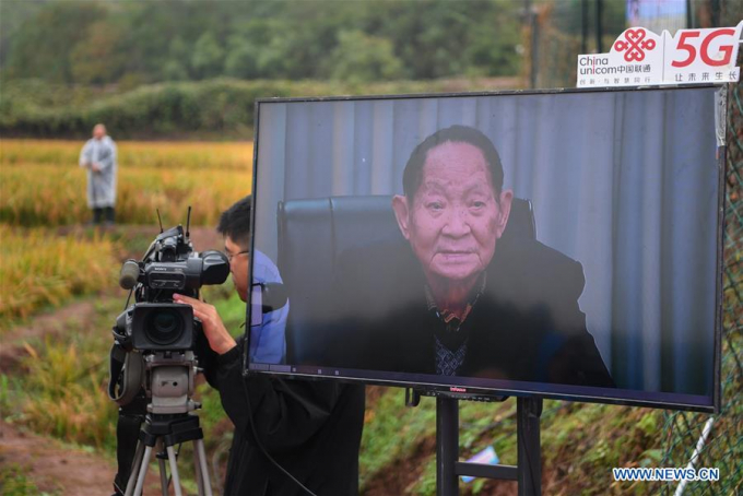Yuan Longping, the 'father of hybrid rice', is seen on a screen during video link at an experimental demonstration field in Hengnan County, central China's Hunan Province, Nov. 2, 2020. The third-generation hybrid rice developed by Yuan Longping, the 'father of hybrid rice,' and his team achieved a yield of 911.7 kg per mu (about 667 square meters) in an experiment in central China's Hunan Province. Photo: Xinhua.