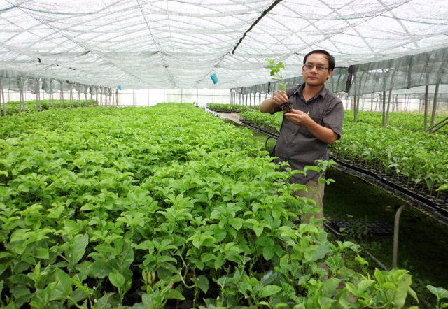 Vườn ươm giống của Trung tâm Giống cây trồng Công nghệ cao - Seedling Vietnam.