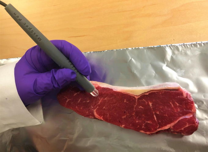 Dùng bút MasSpec Pen để thử thịt bò thật - giả. Ảnh: Tạp chí Hóa học Nông nghiệp và Thực phẩm ACS.