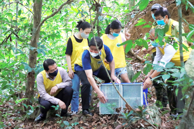 Thứ trưởng Lê Quốc Doanh tham gia tái thả động vật hoang dã sau cứu hộ về rừng nguyên sinh Cúc Phương.