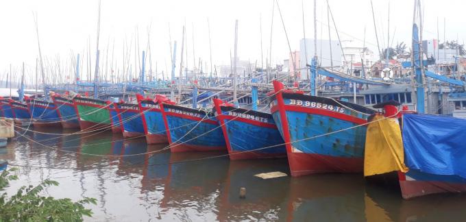 Hoai Nhon town (Binh Dinh), the locality has the largest force of offshore fishing boats in the country, but thanks to the drastic implementation of the Fisheries Law, from 2020 to now, there are no fishing vessels violating IUU. Photo:  Vu Dinh Thung.