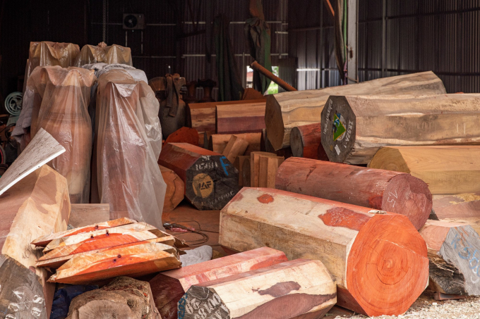 Mr. Ngo Sy Hoai, Vice President and General Secretary of the Vietnam Timber and Forest Products Association said that Vietnam imports about 12-13 million m3 of timber annually. Photo: TL.