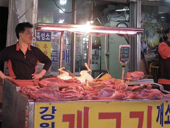 Một quán thịt chó ở Hàn Quốc.