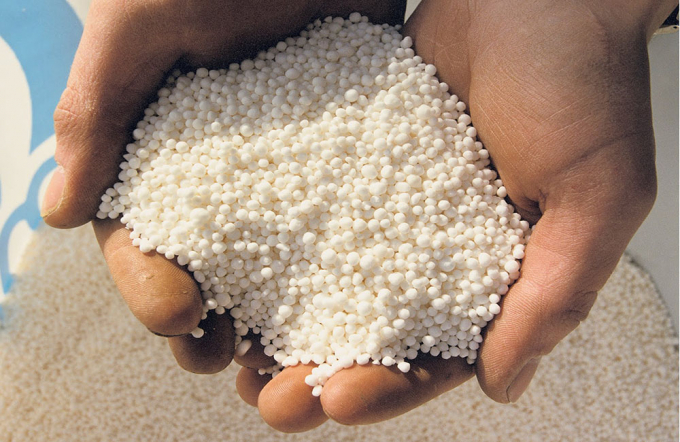 The price of urea increases drastically due to a possible dummy shortage. Photo: TL.