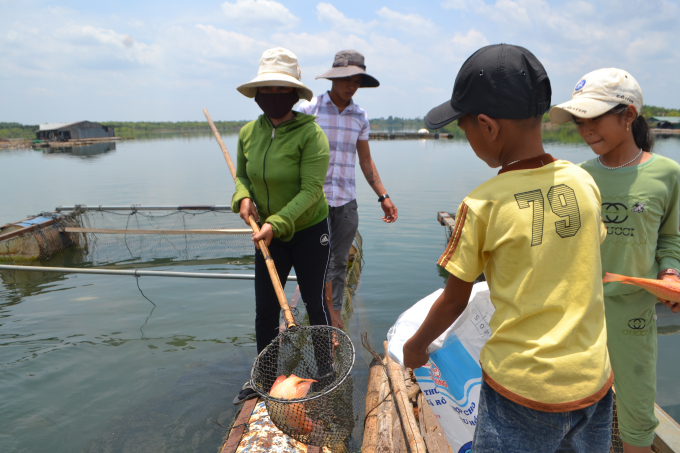 Aquaculture provides an important livelihood for the people. Photo: TL.