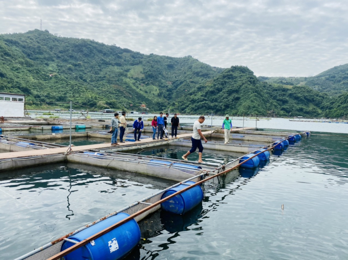 According to the provisions of the Law on Environmental Protection 2020, from January 1, 2022, aquaculture activities will have to perform the obligation to pay for natural ecosystem services. Photo: TL.