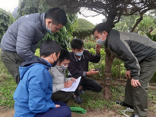 The trainees were introduced by experts to the techniques of installing camera traps. Photo: TH.