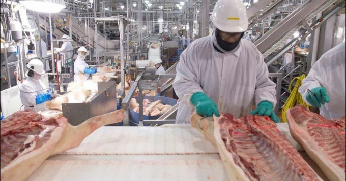 Global pork output in 2022 is forecasted to suffer a 2% decrease. Photo: TL.