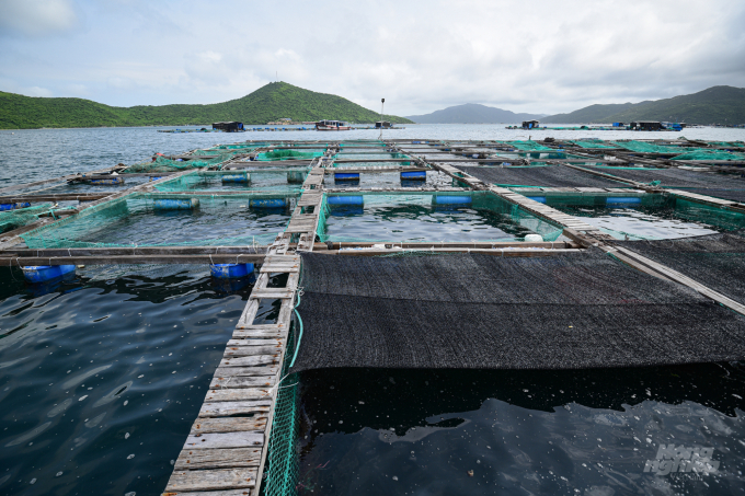 Deputy Minister Phung Duc Tien said that it is necessary to call for big enterprises to invest in marine farming. Photo: Tung Dinh.