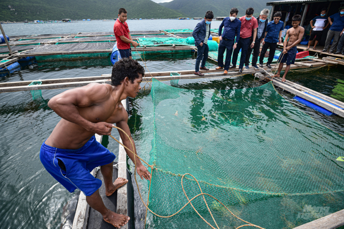 Vietnam's marine farming industry has many potentials but also many limitations. Photo: Tung Dinh.