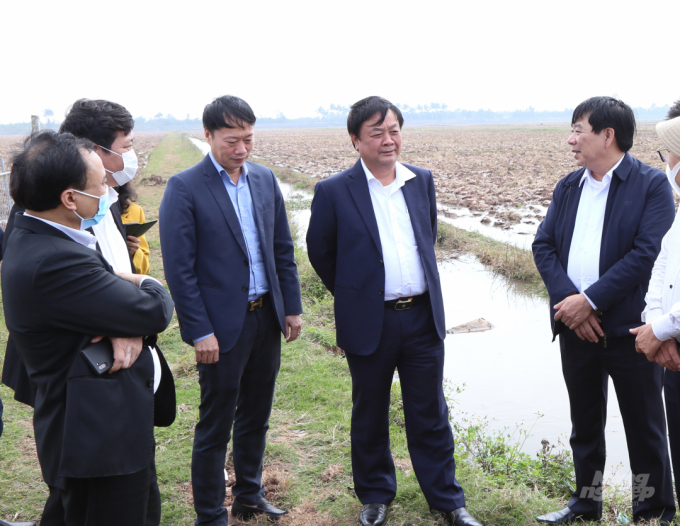 Minister of Agriculture and Rural Development Le Minh Hoan (2nd from right) visits the field in Binh Dinh commune, Kien Xuong district, Thai Binh province on January 8, 2021. Photo: Minh Phuc.