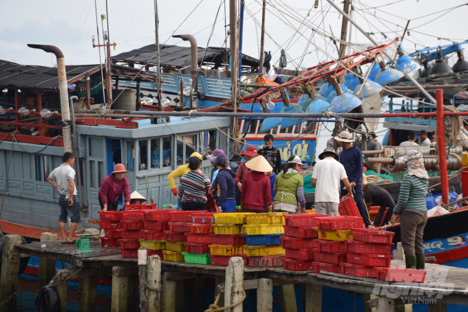 Mỗi ngày tại bến cá An Lương (xã Duy Hải, huyện Duy Xuyên, tỉnh Quảng Nam) có hàng trăm lượt tàu đánh bắt cá cơm cập bến để nhập cá cho thương lái. Ảnh: Lê Khánh.