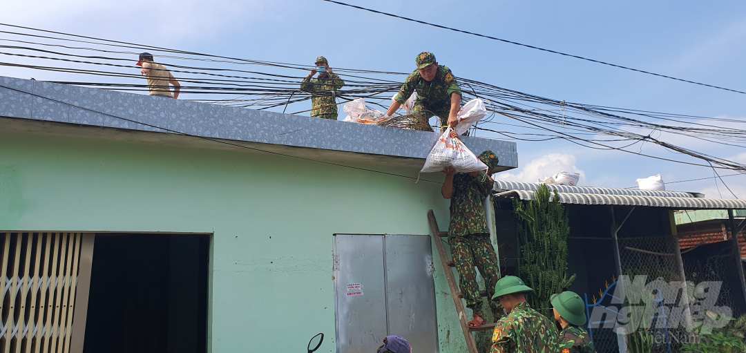 Lực lượng bộ đội cũng được huyện Bình Sơn huy động giúp người dân chằng chống, gia cố nhà cửa trước khi bão số 9 đổ bộ. Ảnh: L.K.