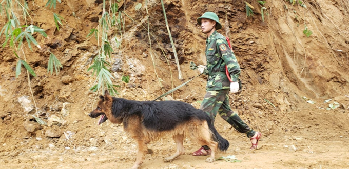 Đội chó nghiệp vụ này được huy động từ xã A Ngo (huyện Đakrông, tỉnh Quảng Trị) vượt hơn 600km đến hiện trường. Ảnh: L.K.