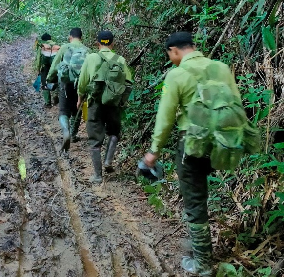 Cán bộ, nhân viên rừng đặc dụng Nam Ka đã tổ chức nhiều đợt tuần tra rừng trong năm 2020. Ảnh: BQL.