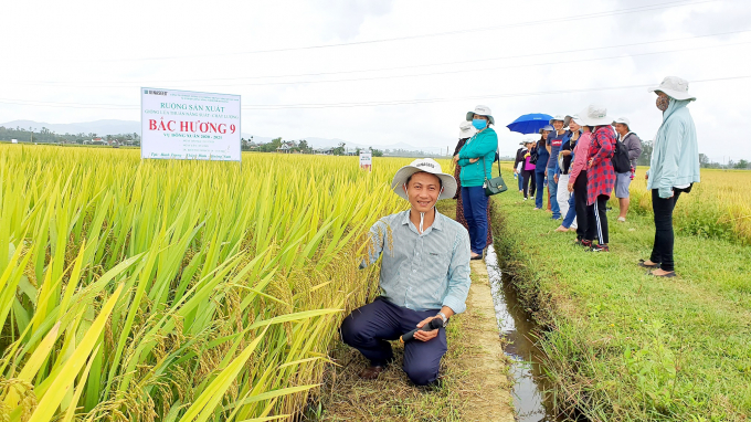 Giống lúa Bắc Hương 9 kháng bạc lá của Vinaseed triển vọng sẽ mang lại vụ mùa bội thu cho bà con nông dân. Ảnh: L.K.