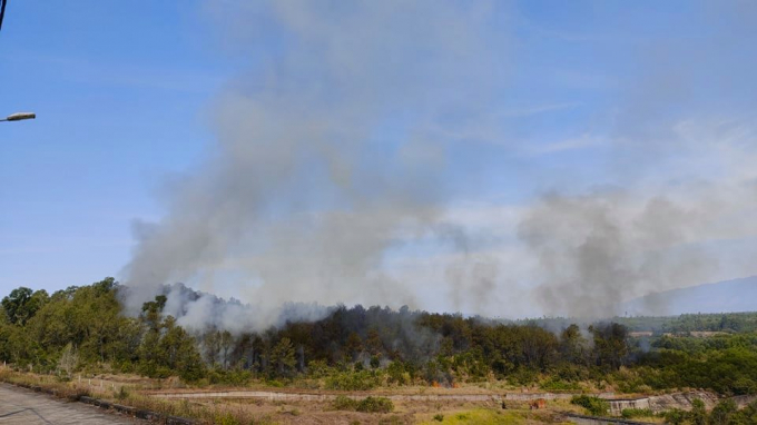 Ngọn lửa xuất phát từ rừng thông ở xã Duy Hòa (huyện Duy Xuyên, tỉnh Quảng Nam) sau đó bốc cháy dữ dội, lan ra các khu vực lân cận. Ảnh: ĐT.