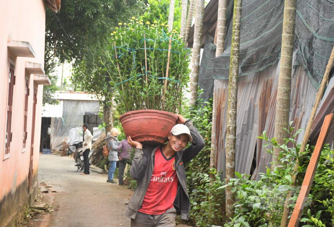 Anh Phạm Quốc Duy (thôn Đồng Viên, xã Nghĩa Hiệp) cho biết: 'Các năm trước, mỗi năm gia đình tôi trồng khoảng 700 chậu hoa cúc. Tuy nhiên, năm nay lo sợ dịch bệnh ảnh hưởng đến đầu ra nên giảm số lượng xuống còn 400 chậu. Không ngờ đến cuối năm nay, hoa tiêu thụ rất nhanh. Từ cuối tháng 11, vườn hoa nhà tôi đã có thương lái đến đặt mua, bây giờ toàn bộ đã bán hết'.