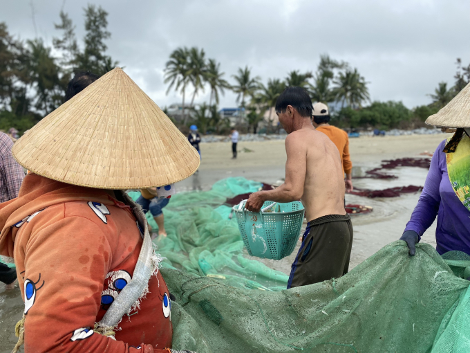 Hải sản vừa đánh bắt bằng kéo lưới rùng tươi ngon nên nhiều người đến mua tại chỗ. Ảnh: L.K.