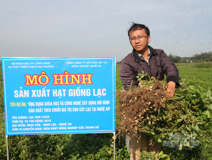 Vụ đông ngày càng đóng vai trò rõ nét trong cơ cấu thời vụ của Nghệ An. Ảnh: Việt Khánh.