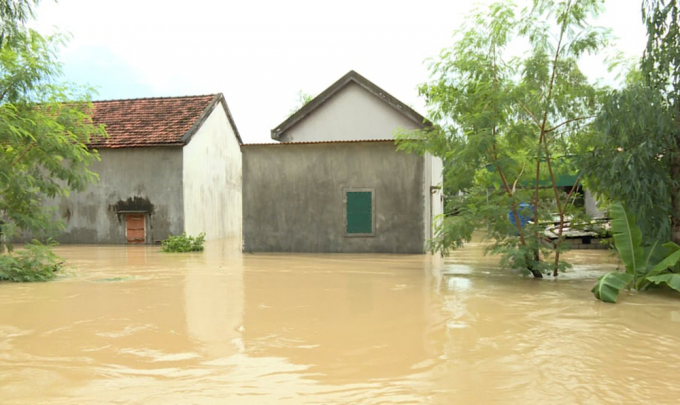 Nhiều vùng tại tâm lụt Quỳnh Lưu vẫn chìm trong dòng nước đục.