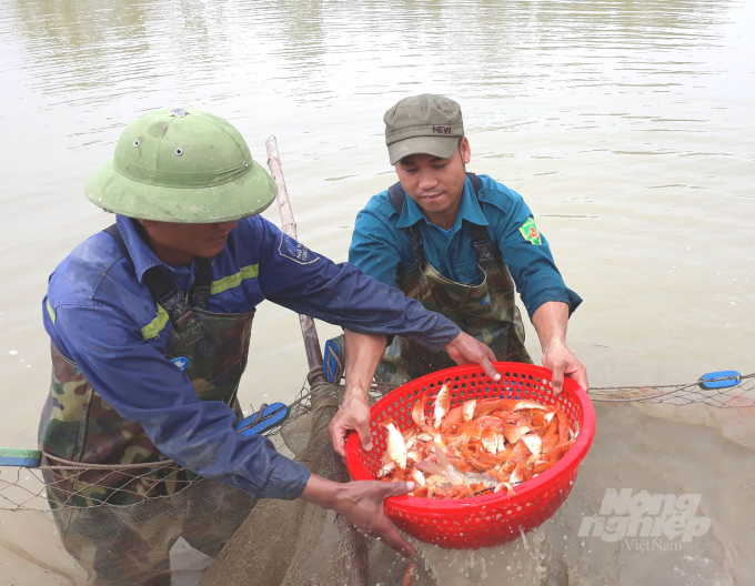 Với hệ thống cơ sở hạ tầng hiện nay, người nuôi trồng thủy sản Nghệ An có thể vững tin gắn bó với nghề. Ảnh: Võ Dũng.