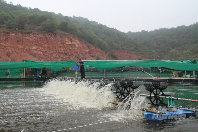 Nâng cấp vùng nuôi là yếu tố tiên quyết để phát triển ngành nghề thủy sản theo hướng bền vững. Ảnh: Võ Dũng.