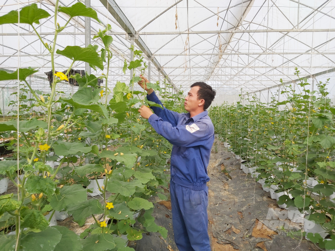 Ứng dụng công nghệ cao vào sản xuất nông nghiệp là lựa chọn phù hợp để phát triển nông thôn mới theo hướng chuyên sâu. Ảnh: Việt Khánh.