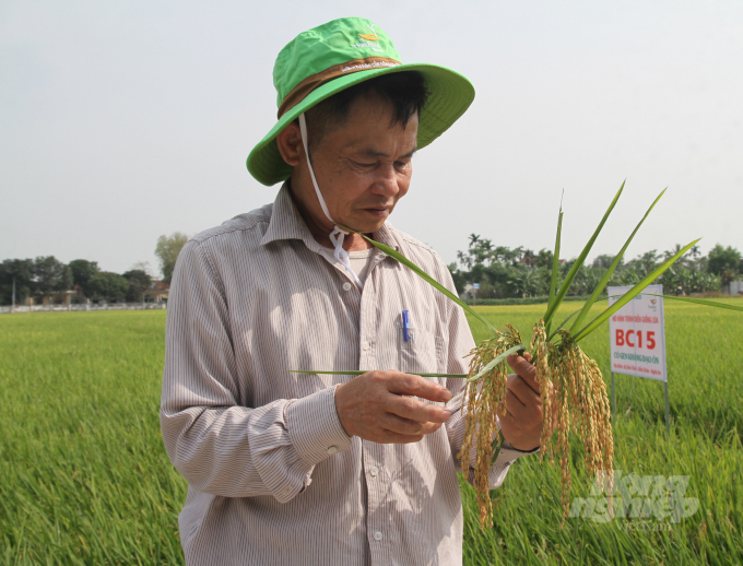 Nông dân trên địa bàn có thể sống tốt nhờ bám đồng bám ruộng. Ảnh: Việt Khánh.