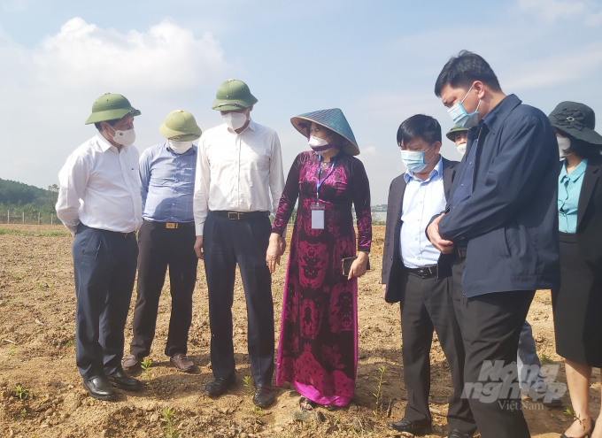 Deputy Ministry of Agriculture and Rural Development Le Quoc Doanh (first, from left) visits the site that is planned for the construction of hi-tech Forestry Park in north central region. Photo: Viet Khanh. 