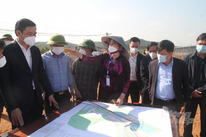 Now is time for Nghe An's forestry sectot to thrive, making the province a hub of wood processing and non-timber products in central region.Photo: Viet Khanh.