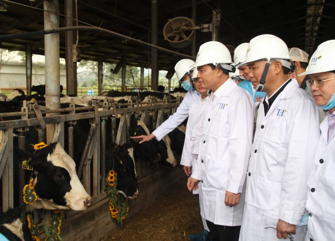 Mô hình ứng dụng công nghệ cao của Tập đoàn TH mang lại hiệu quả rõ rệt, đồng thời là động lực để thúc đẩy ngành chăn nuôi Nghệ An ngày một đi lên. Ảnh: Việt Khánh.