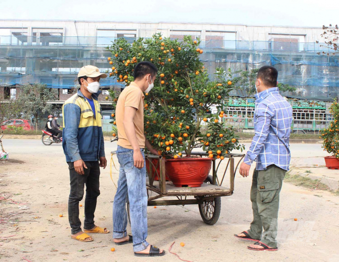 Không khí xuân đang tràn ngập khắp thị xã Thái Hòa. Ảnh: Hồ Quang.