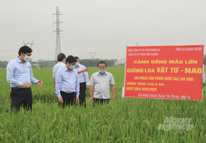 Kết quả thực tế càng khẳng định vị thế huyện trọng điểm sản xuất nông nghiệp của Yên Thành. Ảnh: VK.  